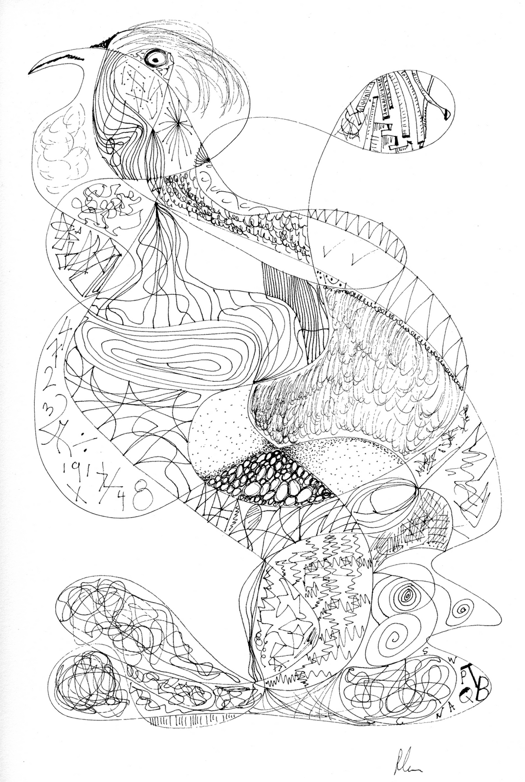 Feathers Explained - 9" x 12"