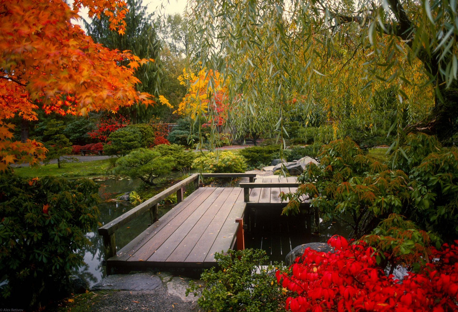 Seattle Garden
